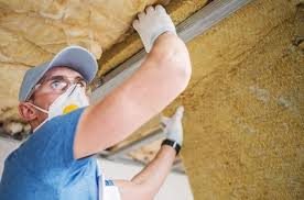 Professional Insulation Services in Pioche, NV